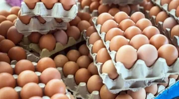 اخر تحديث.. انخفاض البلدي.. أسعار البيض اليوم الاثنين 19-5-2025 في الأسواق (موقع رسمي)