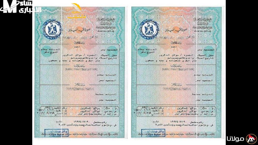 استخراج شهادة ميلاد رقمية للأسر الحاضنة 6