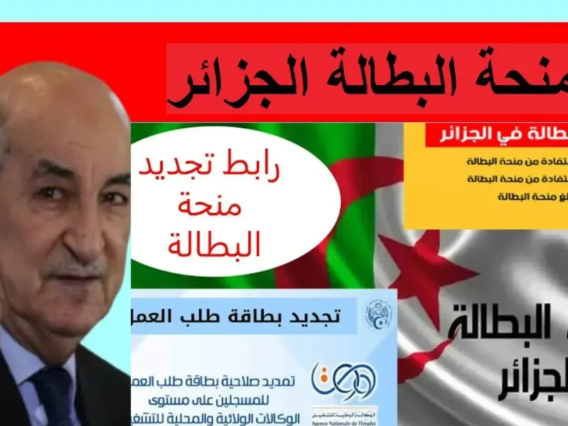 منحة البطالة 2025 1 800x600 1.webp