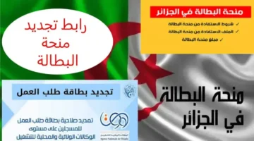 المنحة متوفرة لكل العاطلين في الجزائر.. منحة البطالة 2025 دعم يستحقه الجميع