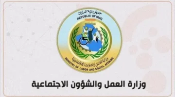 الملف الاجتماعي بصيغة PDF – قائمة الرعاية الاجتماعية 2025 جاهزة للتحميل من مظلتي وأنت مستريح في منزلك