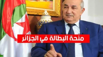 منحة البطالة تعود من جديد – سجّل الآن واحصل على دعمك بسهولة