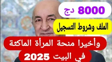 الرزق بيد الله والدولة تدعم.. منحة شهرية جديدة للنساء في المنازل بـ8000 دينار!