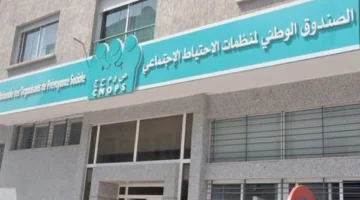 خدمة كنوبس تعلن رسميًا توفير رابط التسجيل للتأمين في المغرب 2025 – فرصة للاستفادة الفورية
