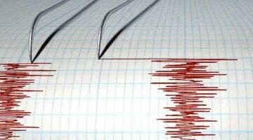 عاجل.. 
                                            محافظة القاهرة: لا يوجد تداعيات للهزة الأرضية ولا تأثير على المنشأت