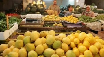اخر تحديث.. انخفاض كبير في  أسعار الليمون بالأسواق.. فما الأسباب؟