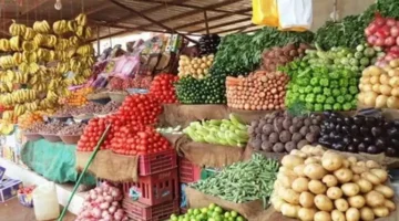 اخر تحديث.. انخفاض الليمون..أسعار الخضروات والفاكهة اليوم الأحد 18-5-2025 في سوق العبور