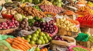 تعرف على أسعار الخضروات والفاكهة اليوم بسوق العبور 21 مايو 2025