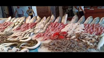 تعرف على أسعار السمك في سوق العبور اليوم الجمعة 23 مايو 2025