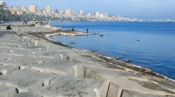 عاجل.. 
                                            شبورة ورياح وأتربة.. حالة الطقس اليوم الخميس 22 مايو 2025 فى مصر
