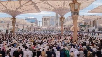 عاجل.. 
                                            “المساعد الذكى”.. نافذة رقمية جديدة تخدم ضيوف الرحمن بالمسجد النبوى