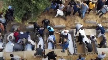 عاجل.. 
                                            87 شهيدا و290 مصابا فى غارات إسرائيلية على غزة خلال 24 ساعة