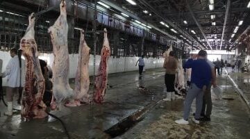 عاجل.. 
                                            محافظ القاهرة: 7 مجازر تستقبل أضاحى المواطنين مجانا طوال أيام العيد