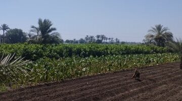 عاجل.. 
                                            هيئة المجتمعات العمرانية الجديدة تنفي ما تردد بشأن تعديل اشتراطات الأراضى