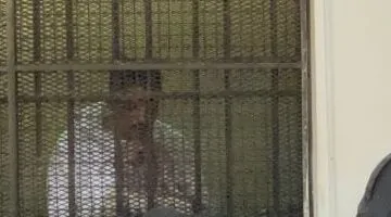 عاجل.. 
                                            جلسة مصيرية لسفاح التجمع فى النقض.. هل ينجو من حبل المشنقة؟