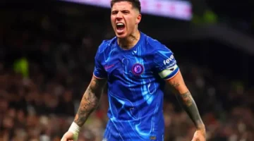 تشيلسي يرفض فكرة انتقال فرنانديز إلى ريال مدريد