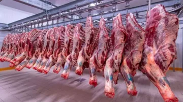 اخر تحديث.. انخفاض اللحوم والعدس والزيت اليوم الاثنين 19-5-2025 بالأسواق (موقع رسمي)