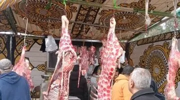 عاجل.. 
                                            قبل العيد.. أماكن معارض السلع والأضاحى بأسعار مخفضة فى محافظة القاهرة