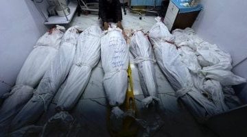 عاجل.. 
                                            114 شهيدا جراء الغارات الإسرائيلية فى مختلف أرجاء قطاع غزة