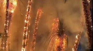 أخبار مصر | 
                                            بعد حريق كورنيش النيل.. اقرأ نصائح الحماية المدنية لتجنب حرائق الأشجار