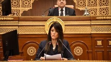 عاجل.. 
                                            وزيرة التخطيط: الحكومة منحازة للقطاع الخاص.. ومصر جاذبة للاستثمارات الأجنبية