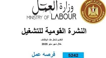 عاجل.. 
                                            وزارة العمل: 5242 فرصة عمل جديدة فى 50 شركة خاصة بـ8 محافظات