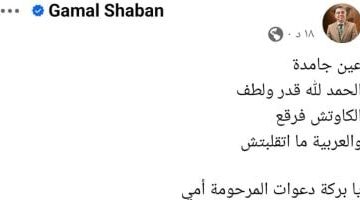 عاجل.. 
                                            العين جامدة.. نجاة الدكتور جمال شعبان بعد انفجار إطار سيارته