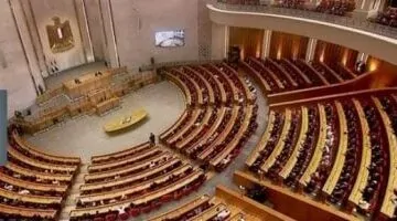 عاجل.. 
                                            تعرف على المستندات المطلوبة من مرشحى المجالس النيابية وفقا للتعديلات