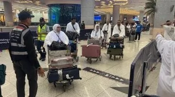 عاجل.. 
                                            رئيس بعثة الحج: وصول 9360 حاجا من بعثة القرعة لمكة المكرمة