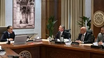 عاجل.. 
                                            مدبولى يستعرض موقف منطقتي امتياز “كايرو ومصري” بالبحر المتوسط مع شركة إكسون موبيل