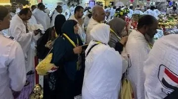 عاجل.. 
                                            رئيس بعثة الحج: وصول نحو 13 ألف حاج من بعثة القرعة لمكة المكرمة “صور”