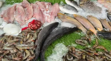 اخر تحديث.. انخفاض الجمبري.. أسعار السمك اليوم الاثنين 19-5-2025 في سوق العبور