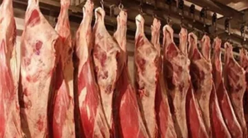 ارتفاع اللحوم وأسعار السلع الأساسية في الأسواق اليوم 21 مايو 2025