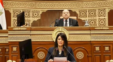 اخر تحديث.. المشاط: نتوقع طفرة بالاستثمارات الخاصة لتصبح 63% من الإجمالي العام المقبل