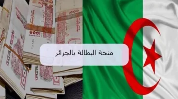 المنحة وصلت للمحتاجين الآن.. منحة البطالة في الجزائر 2025 تقدم دعماً حقيقياً للأوقات الصعبة