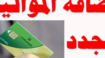 التموين أصبح أسهل من قبل – حدّث بطاقتك التموينية من المنزل بكل سهولة
