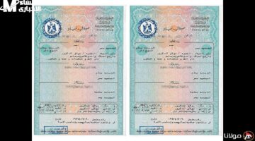 مولودك في الموبايل الآن.. استخراج شهادة ميلاد 2025 بسهولة وبدون أوراق