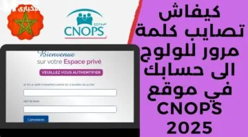 كنوبس تفاجئ المغاربة برابط التسجيل الجديد لموقعها 2025 وشروط مميزة