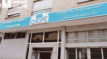 في سبع خطوات فقط.. انطلق بخطواتك الجديدة مع موقع كنوبس المغرب الجاهز الآن