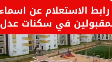 الدفعة تضم أسماء مفاجئة.. الكشف عن أسماء المقبولين في سكنات عدل 3 بالجزائر