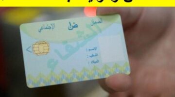 نسخة جديدة ومُحدّثة للمستفيدين مع بطاقة الشفاء 2 في الجزائر – التفاصيل الكاملة بالشروط والخطوات السهلة