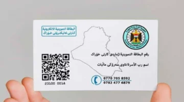المنصة تتيح خدمات التموين بسهولة – رابط رسمي لتحديث البطاقة التموينية الإلكترونية 2025