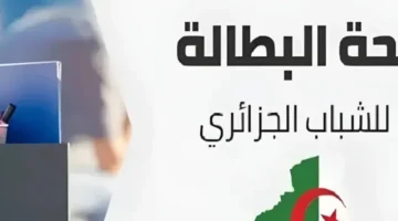 البطالة تفتح باب التقديم .. خطوات وشروط تجديد منحة البطالة في الجزائر 2025