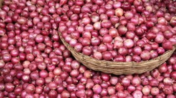 بقي ببلاش.. سعر البصل اليوم وأسعار الخضروات والفواكه بالأسواق اليوم الخميس 15 مايو 2025