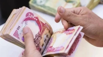 المنحة بدأت دون تأخير.. منحة البطالة 2025 الجزائرية متاحة الآن للجادين فقط