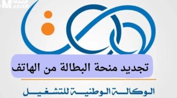 المنحة بحاجة لخطوات بسيطة.. شروط تجديد منحة البطالة في الجزائر 2025