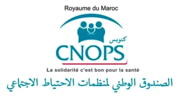 التسجيل يعود من جديد .. كنوبس بحُلته الجديدة في المغرب 2025 خطوة هامة