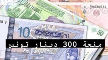 منحة تونس تفاجئ الجميع – تفاصيل منحة 300 دينار في تونس والشروط وطريقة التسجيل بسهولة