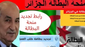 حدثت المنحة الآن.. كيفية تجديد منحة البطالة الجزائرية 2025 بسهولة وبدون عناء