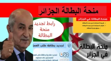 الطابور مش هيقابلك تاني.. منحة البطالة الجزائرية 2025 تبدأ للجادين فقط والتقديم مباشر